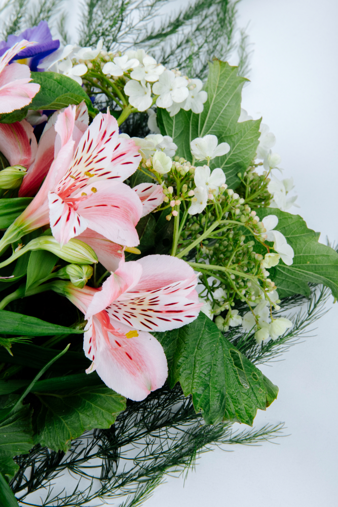 nfo@blumen-waf.at www.blumen-waf.at Telefon: 0676 9765434 Adresse: Döblinger Hauptstraße 66, 1190 Wien